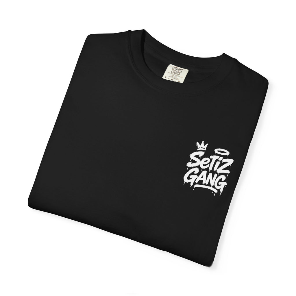 I Need Money for My Project Car Graphic T-Shirt - Car Enthusiast Tee – SetiZGang